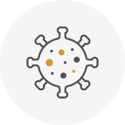 감염성 포도막염