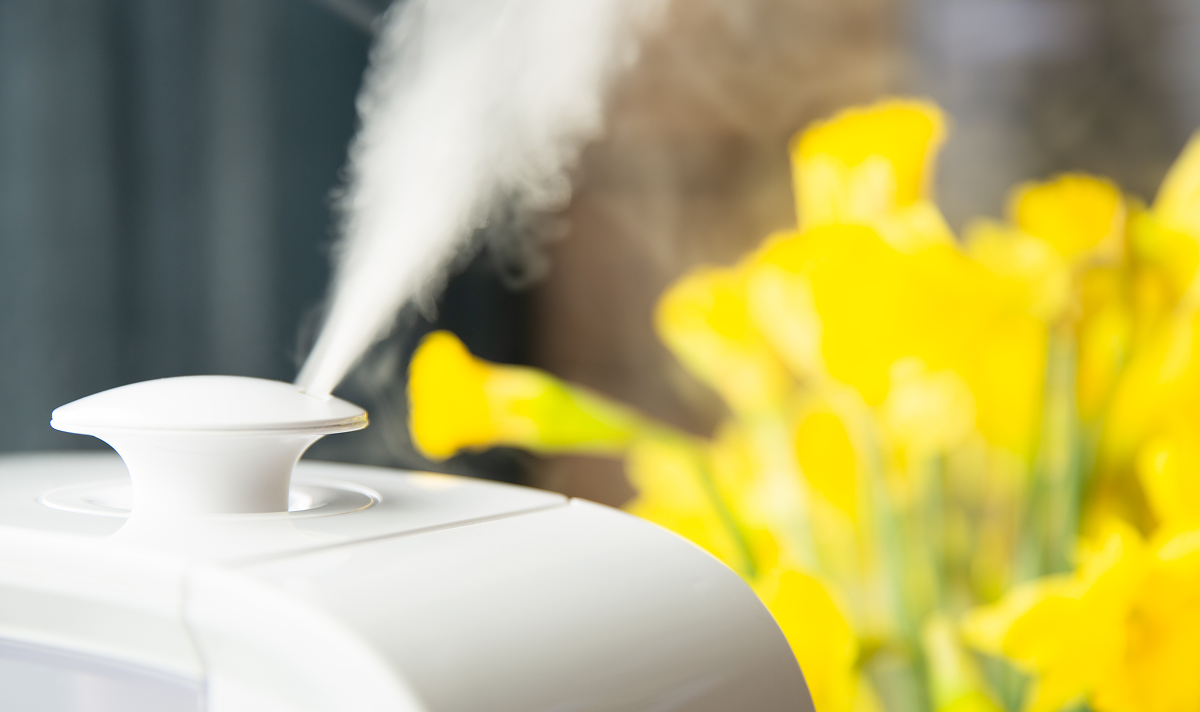 안구 습도 유지