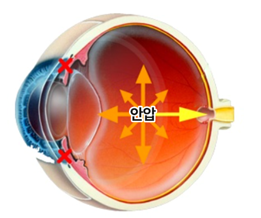 의사 그림자